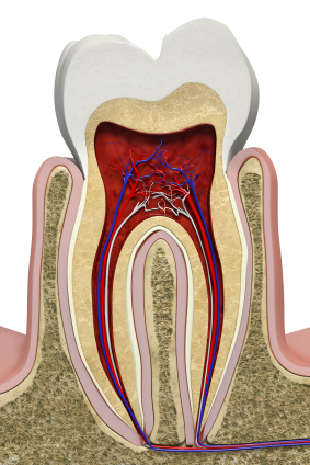 Root Coverage